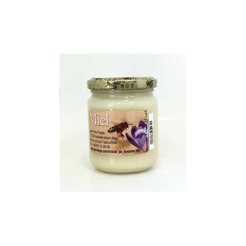 Miel de Printemps 250g