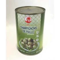 Champignon de paille COCK BRAND  425g