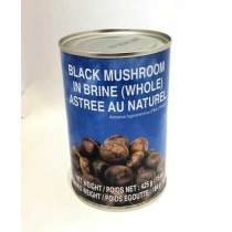 Champignon astree COCK BRAND  425g