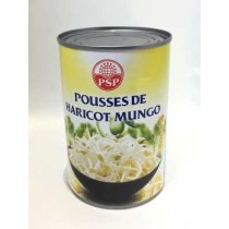 Pousses de haricot mungo PSP 410g